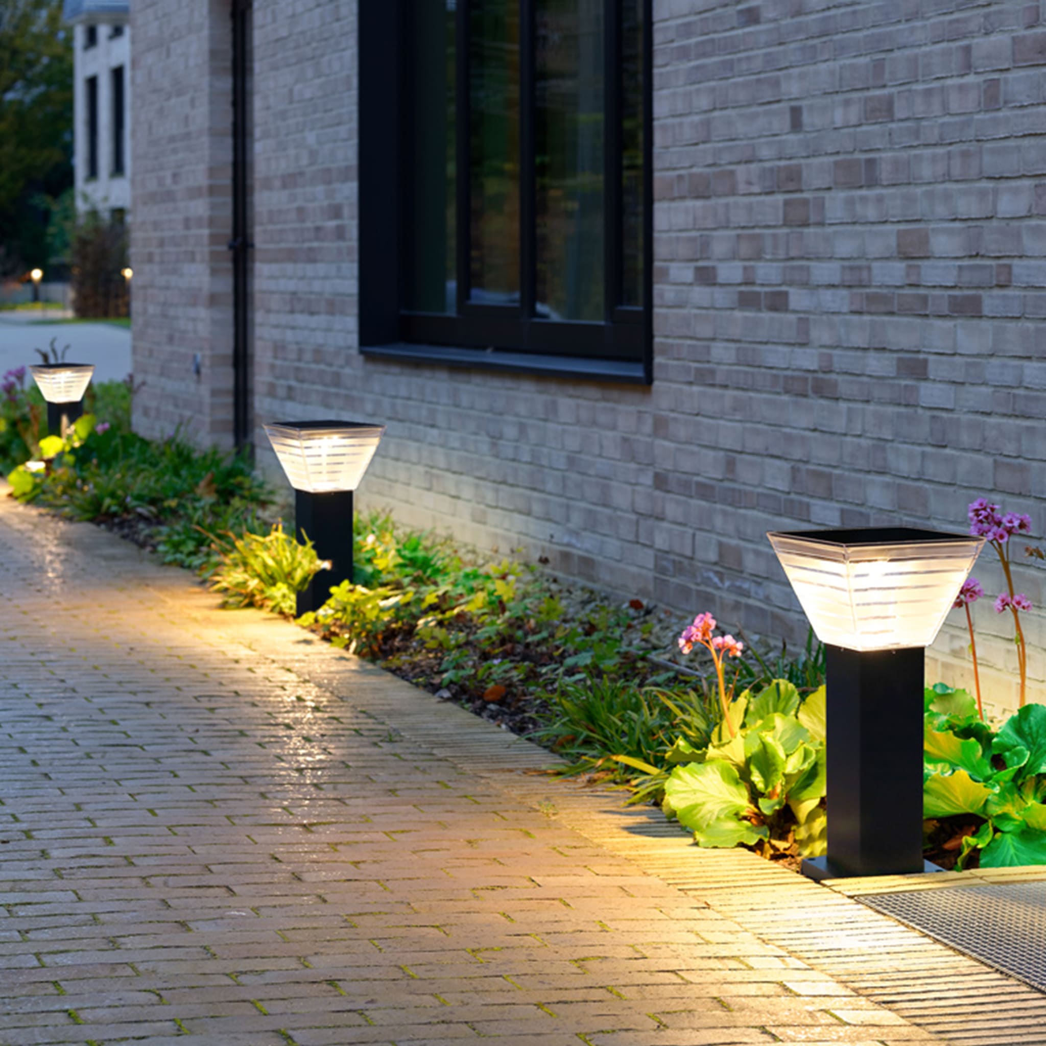 lawn light 